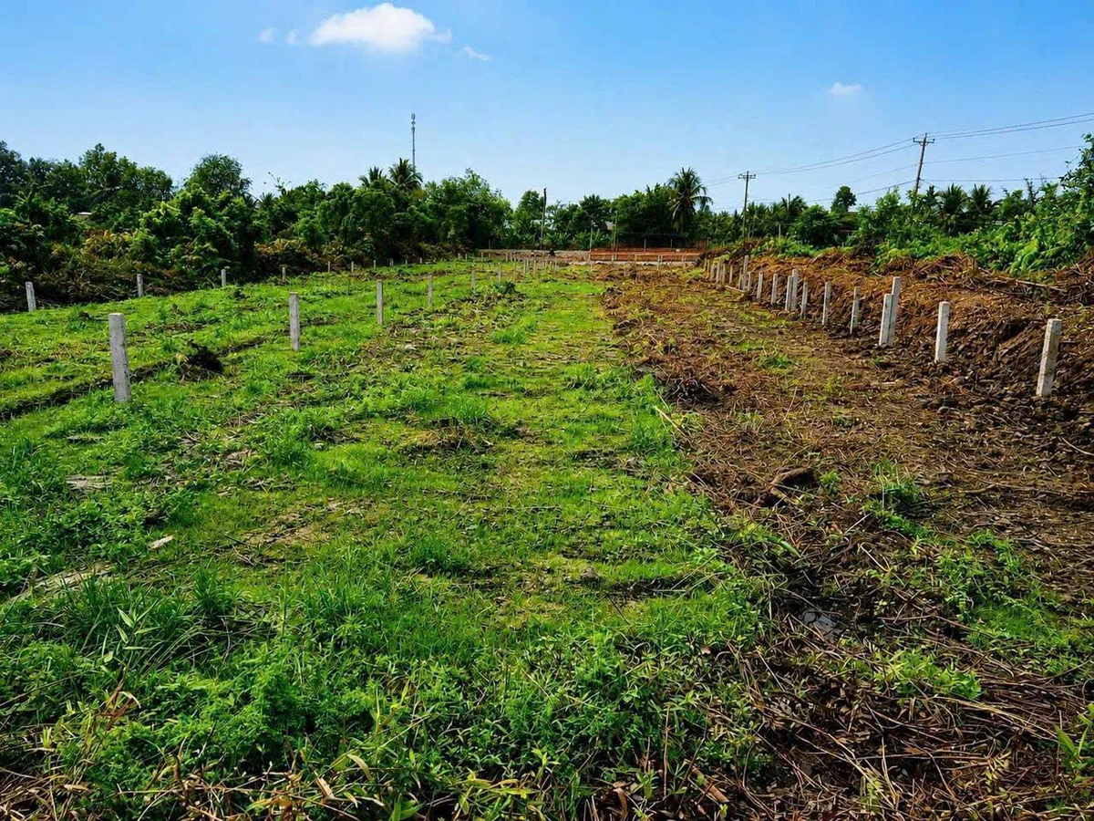 Bán đất 500m² (150m² thổ cư + 350m² vườn) tại Bến Lức Long An, 1 tỷ 150 triệu - Ảnh thu nhỏ 3