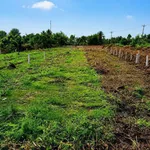 Bán đất 500m² (150m² thổ cư + 350m² vườn) tại Bến Lức Long An, 1 tỷ 150 triệu - Ảnh thu nhỏ 3