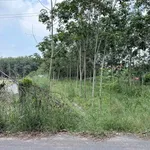 Bán đất Bình Mỹ 1272m² giá 4 tỷ - Ảnh thu nhỏ 2