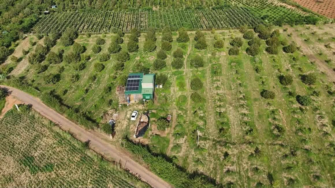 Bán rẫy sầu riêng 2,3 ha có nhà tại xã Ea Phê, Đắk Lắk, giá 5,75 tỷ - Ảnh 1