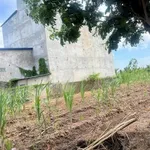Bán nền liền kề 1.100m² Bạc Liêu 990 triệu - Ảnh thu nhỏ 1