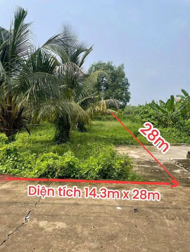Bán lô đất thổ cư 400 m² Tây Ninh 1 tỷ 250 triệu - Ảnh thu nhỏ 4