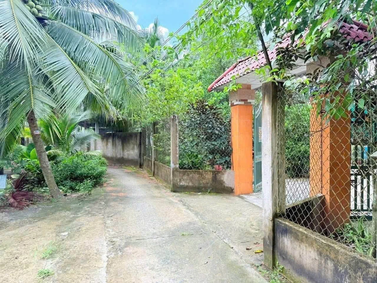 Bán biệt thự vườn An Khánh 1000m2 tại Bến Tre - Ảnh 1