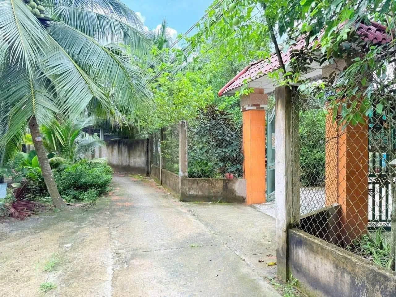 Bán biệt thự vườn An Khánh 1000m2 tại Bến Tre - Ảnh 1