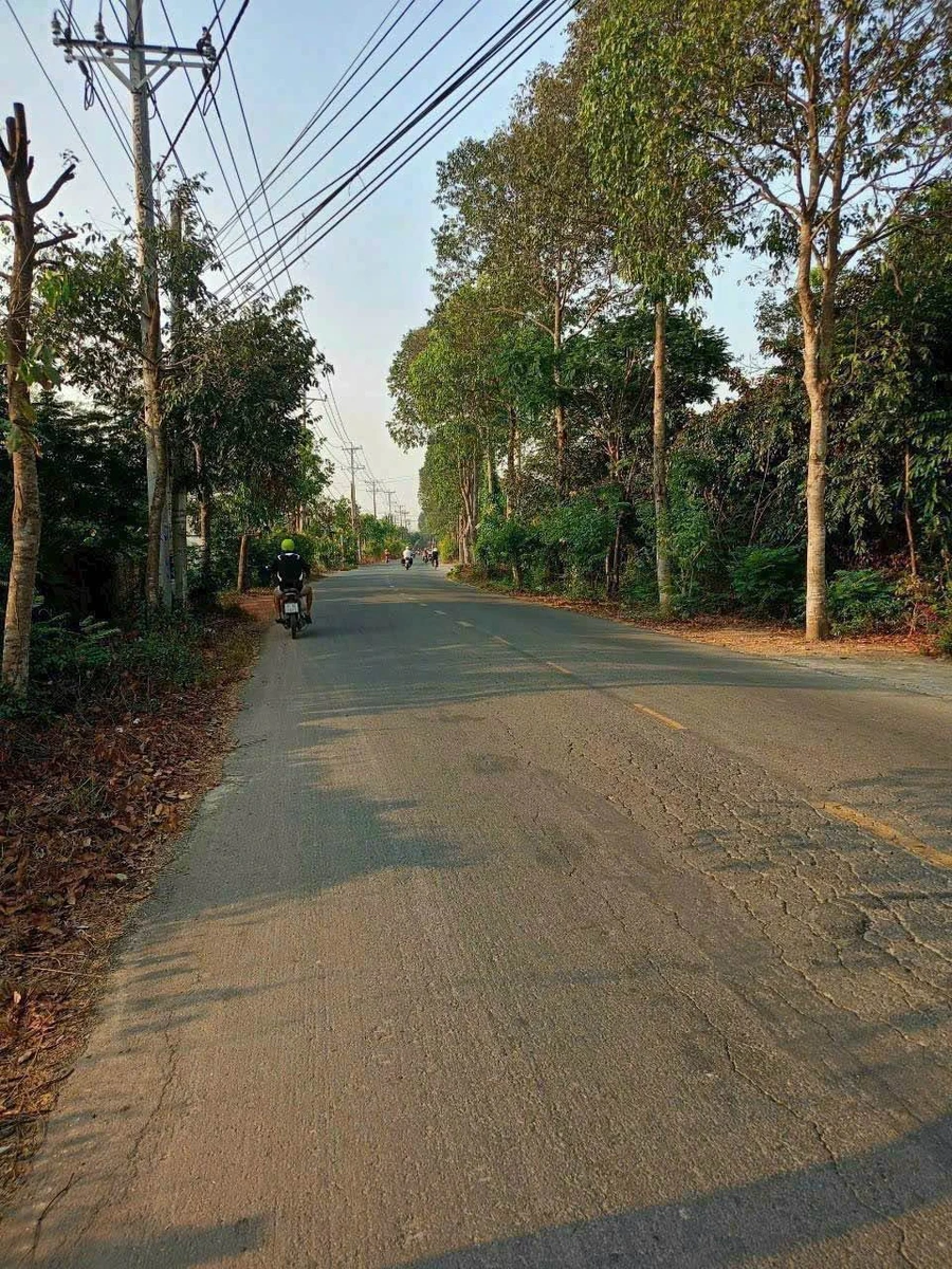 Bán đất mặt tiền Phạm Văn Ngô 128.5m² Tây Ninh 1.6 tỷ - Ảnh thu nhỏ 3
