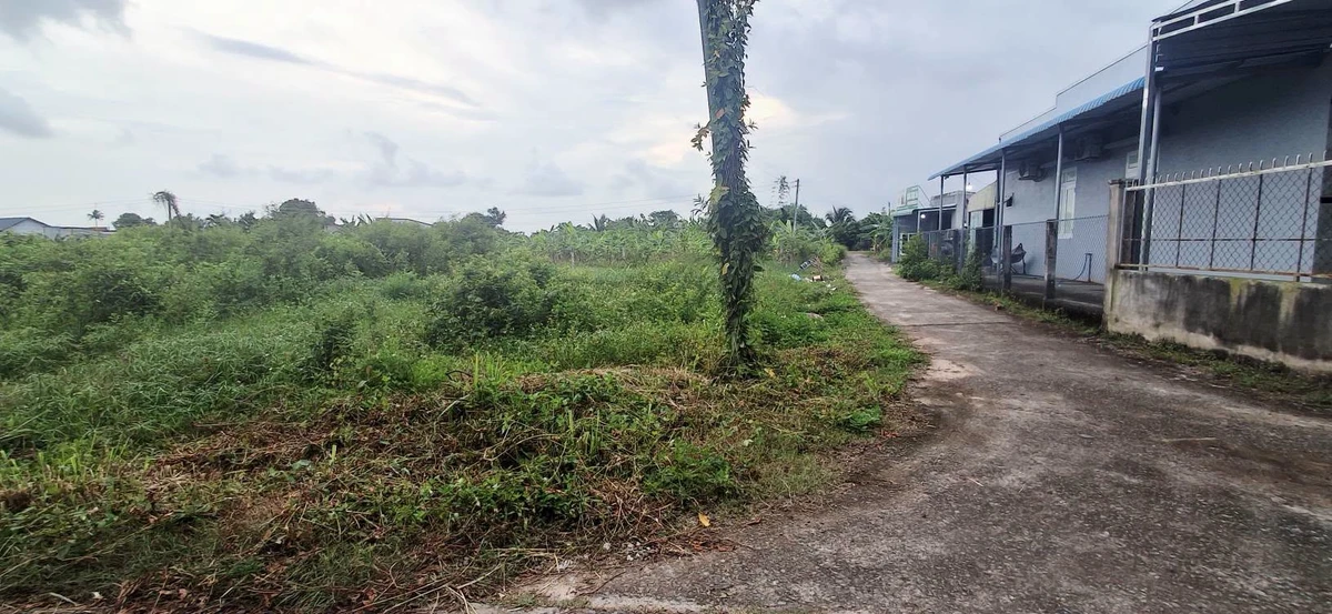 Bán đất sào Xuân Điền Hàm Hiệp, 500m², 1,5 tỷ - Ảnh thu nhỏ 3