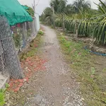Bán đất thổ cư 105m2 ấp 1 Hòa Phú, Châu Thành, Long An giá 360 triệu - Ảnh thu nhỏ 5
