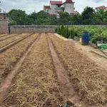 Bán đất 88m² mặt tiền 5.5m Từ Hồ, Hưng Yên - Ảnh thu nhỏ 3
