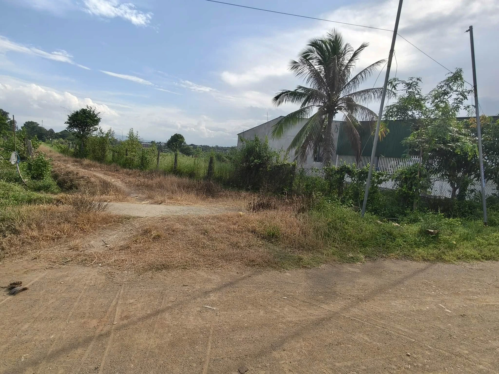 Bán đất nền 500m2 Kp6 Tân Sơn, 12.5 tỷ - Ảnh 1