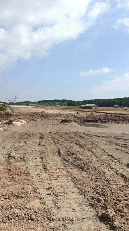 Bán 6 mẫu (60.000m²) đất mặt tiền Bắc Nam, Bến Tre