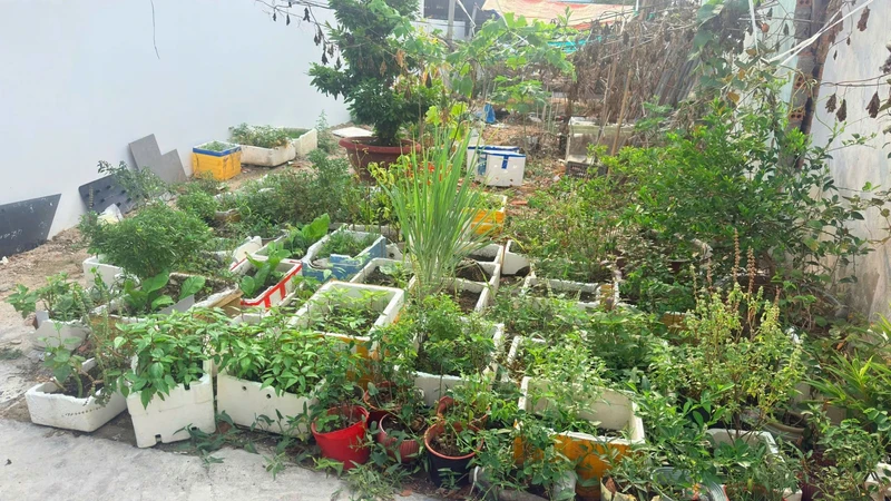 Bán đất Vĩnh Hòa Nha Trang 45m² 1,82 tỷ sổ hồng riêng