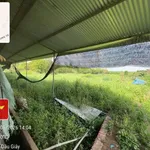 Bán đất chăn nuôi 10.000m2 Đồng Nai - Ảnh thu nhỏ 4