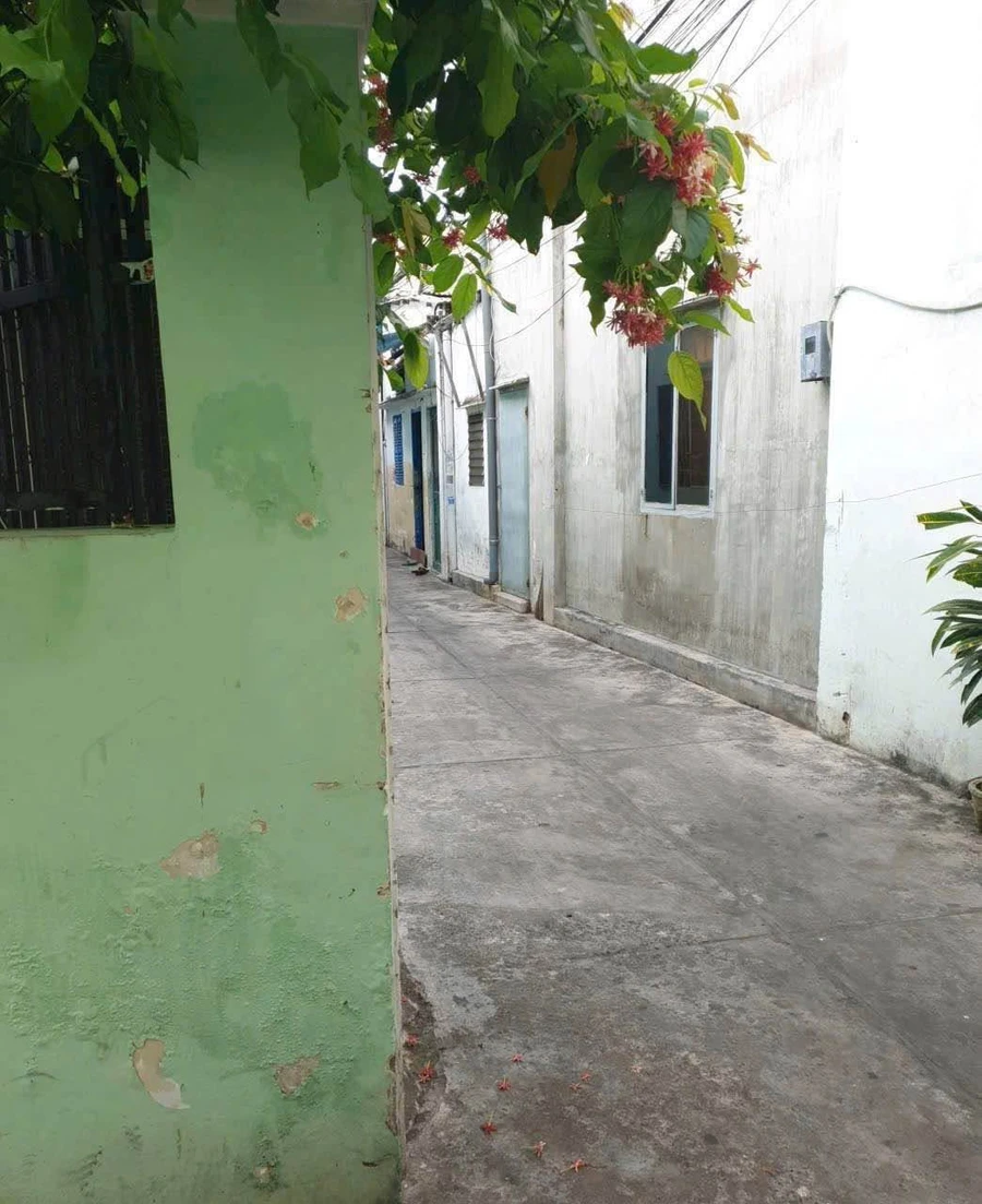 Bán nhà cấp 4 65m² Ba Cu, Vũng Tàu, 4,2 tỷ - Ảnh thu nhỏ 5
