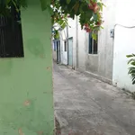 Bán nhà cấp 4 65m² Ba Cu, Vũng Tàu, 4,2 tỷ - Ảnh thu nhỏ 5