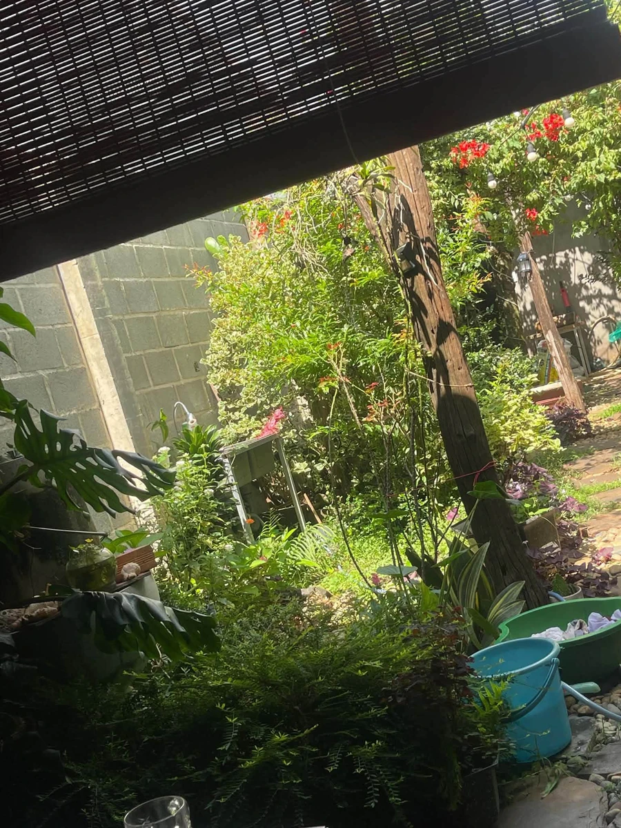 Bán đất hẻm Đỗ Nhuận Bình Tân 115m² - Ảnh thu nhỏ 3