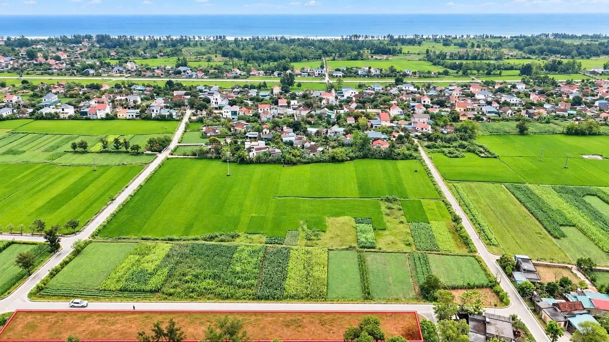 Bán đất 160m² Đan Hải Hà Tĩnh 800 triệu - Ảnh thu nhỏ 3