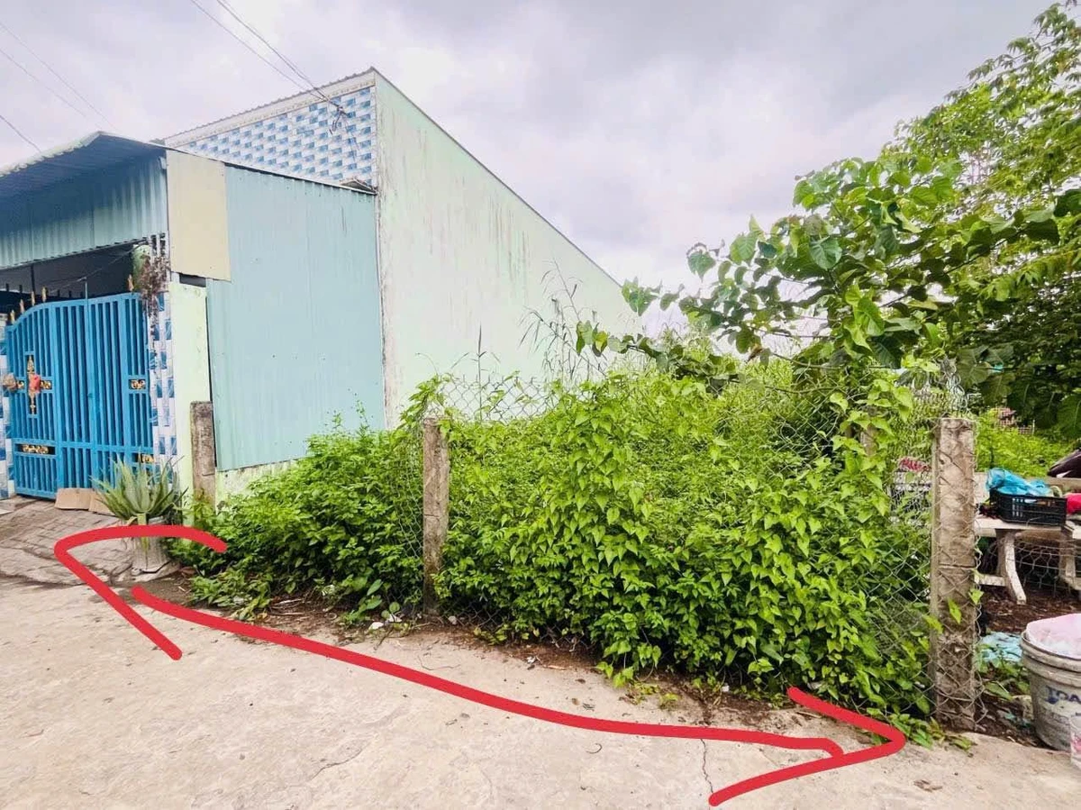 Bán đất thổ cư 100.5m² Tân An, Long An 1 tỷ 150 triệu - Ảnh thu nhỏ 3