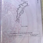 Bán đất cao su 6 sào mặt tiền 160m tại Đồng Tâm Bình Phước - Ảnh thu nhỏ 3