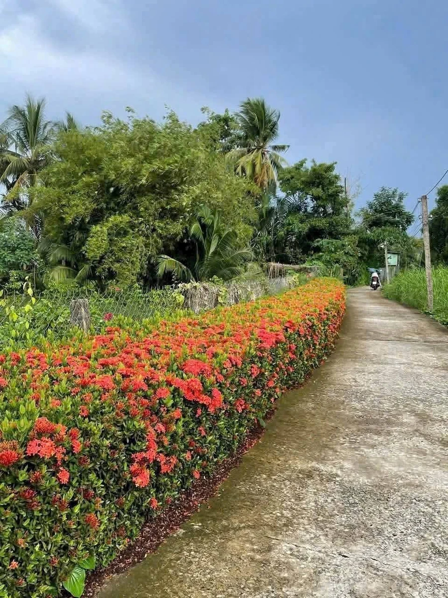 Bán nhà cấp bốn 576m² Châu Thành Long An 950 triệu - Ảnh 1