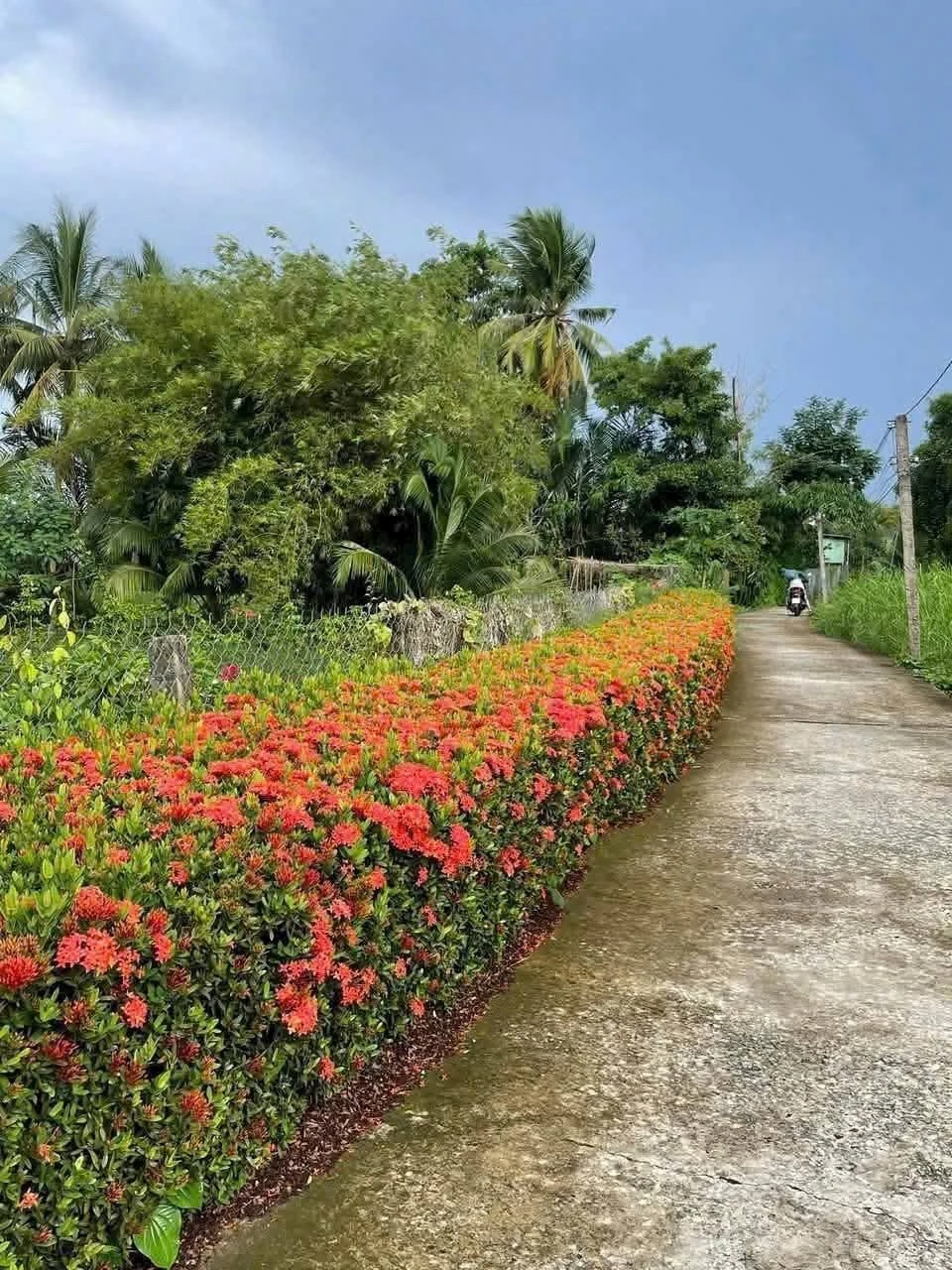 Bán nhà cấp bốn 576m² Châu Thành Long An 950 triệu - Ảnh 1