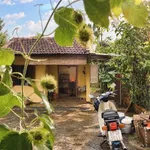 Bán vườn sinh thái Ea Kao 3.866m² giá 8 tỷ - Ảnh thu nhỏ 3