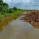 Bán 1,1 mẫu đất sau chợ An Đức, Ba Tri, Bến Tre - Ảnh thu nhỏ 2