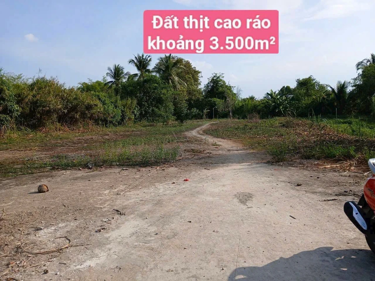 Bán đất 5 công sát KDC Nam Long, Bình Chánh, 3.500m² - Ảnh thu nhỏ 5
