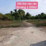 Bán đất 5 công sát KDC Nam Long, Bình Chánh, 3.500m² - Ảnh thu nhỏ 5