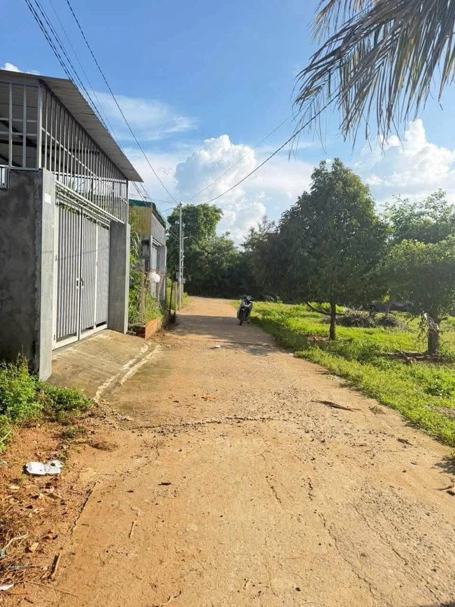 Bán đất thổ cư 231m2 gần chợ EaKao, Đắk Lắk - Ảnh thu nhỏ 2