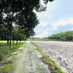 Bán đất nền 205m² Minh Long, Nhà Bè, giá 390 triệu - Ảnh thu nhỏ 3