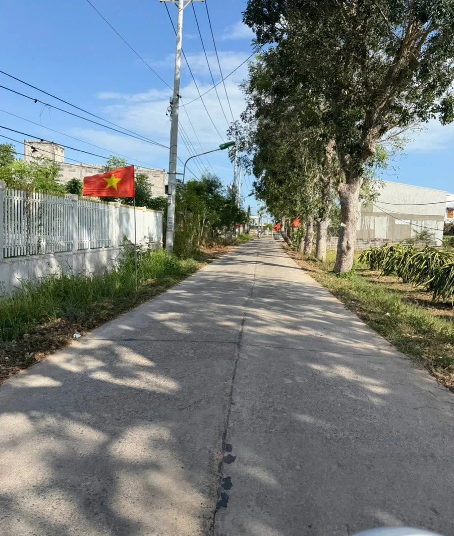 Bán đất thổ cư 130m² Phong Nẫm, Phan Thiết 800 triệu - Ảnh thu nhỏ 3