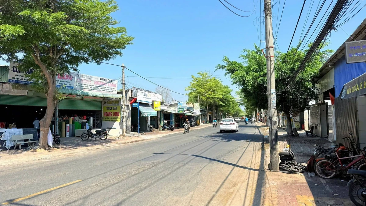 Bán đất mặt tiền Võ Thị Sáu Phước Hải 504m2 - Ảnh thu nhỏ 3