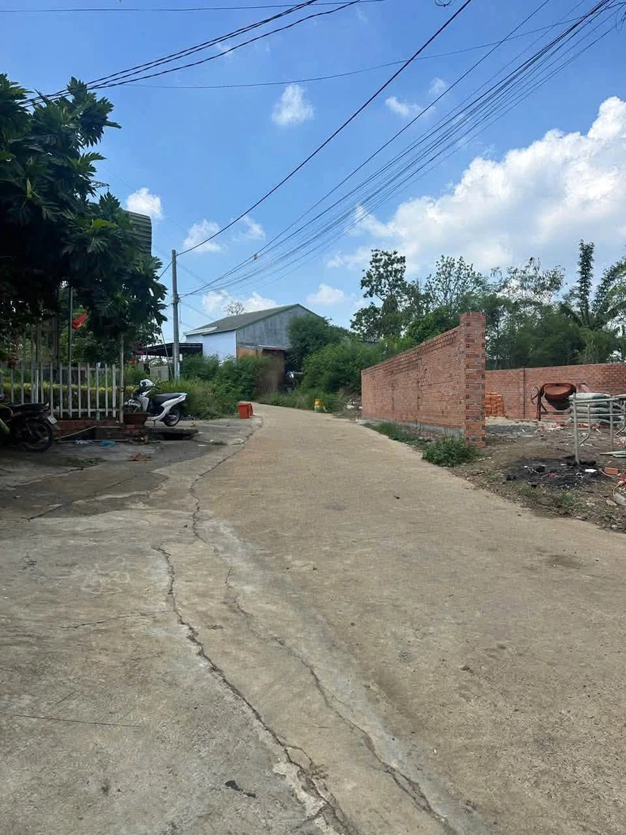 Bán đất thổ cư 101m2 hẻm Tạ Quang Bửu Quận 12 - Ảnh thu nhỏ 2