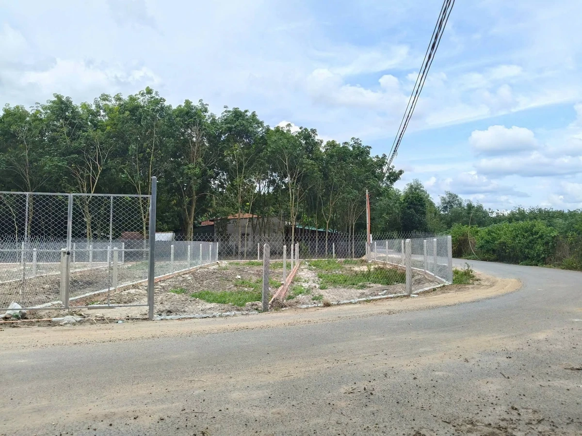 Bán lô đất 2 mặt tiền 210m² Bình Minh, Tây Ninh - Ảnh thu nhỏ 2