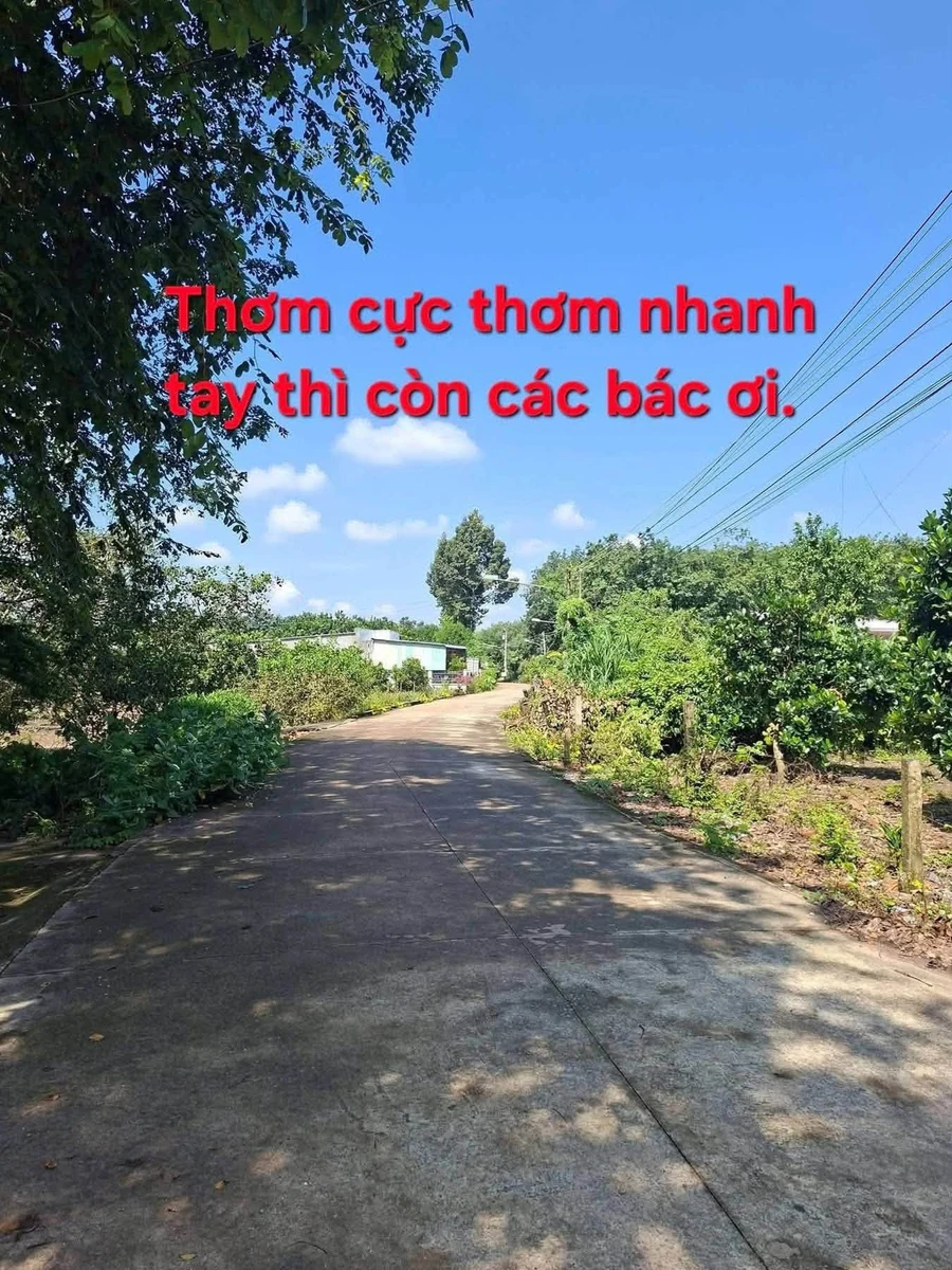 Bán đất Phú Giáo Bình Chánh 940m² sổ hồng 1,24 tỷ - Ảnh 1