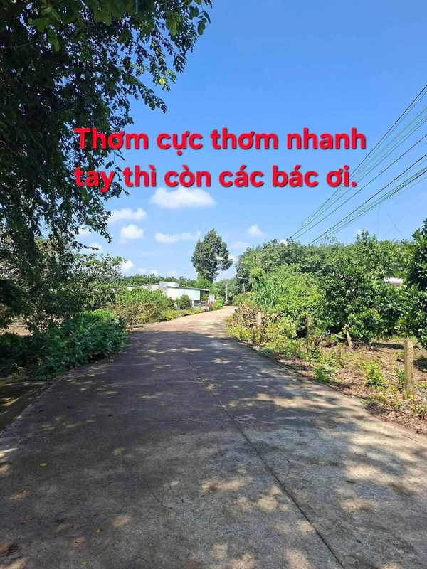 Bán đất Phú Giáo Bình Chánh 940m² sổ hồng 1,24 tỷ