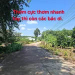 Bán đất Phú Giáo Bình Chánh 940m² sổ hồng 1,24 tỷ - Ảnh thu nhỏ 1
