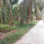 Bán đất Phú Nhuận, Bến Tre, 400m² ngang 9,2m - Ảnh thu nhỏ 2