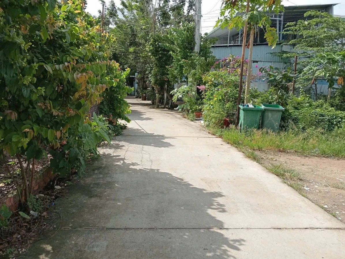 Bán đất thổ cư 5x38 gần DT744, chợ Thùng Thơ, phường Phú An, Bến Cát cũ - Ảnh thu nhỏ 2