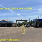 8 sào gỗ tếch tại huyện Cư Mgar, Đắk Lắk - Ảnh thu nhỏ 3