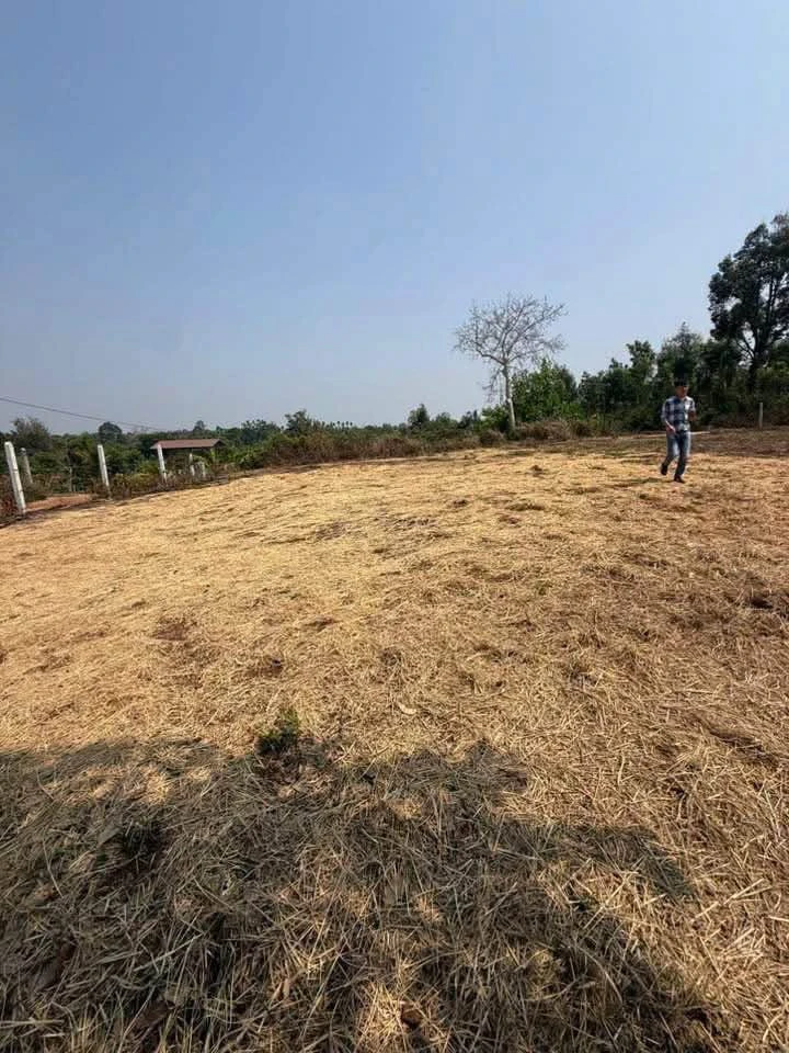 Bán đất thổ cư 175m2 giá 369 triệu tại Buôn Ma Thuột - Ảnh thu nhỏ 5