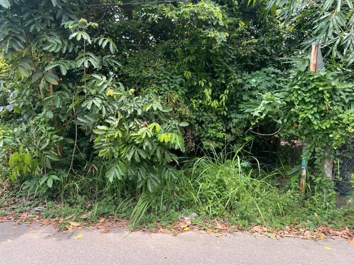 Bán đất Hòa Lợi 234m² thổ cư 100m giá 1 tỷ 6 - Ảnh thu nhỏ 2