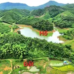 Bán đất 3200m² tại Đà Bắc, Hòa Bình, giá hơn 2 tỷ - Ảnh thu nhỏ 1
