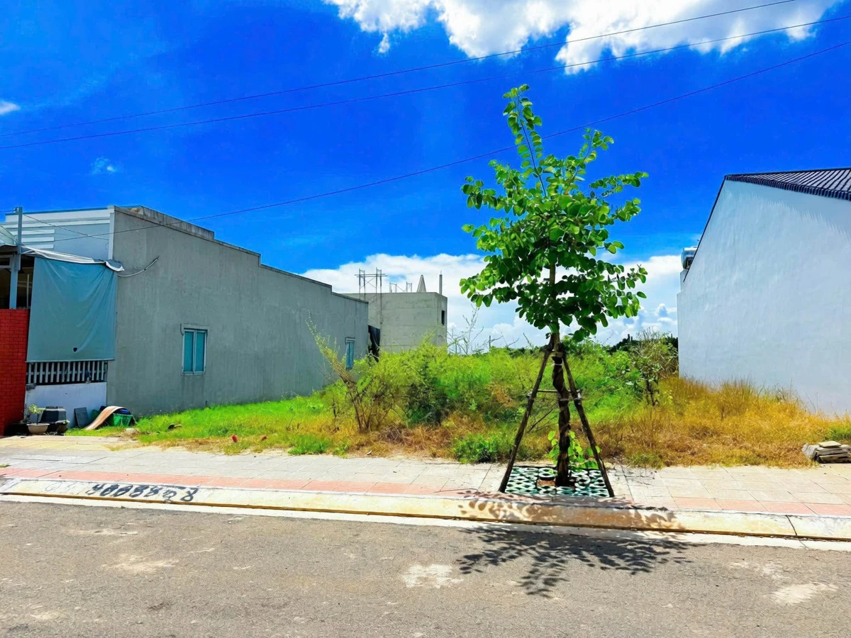 Bán 3 lô đất liên kề Lekima Đất Đỏ, 322,5m2, 3 tỷ - Ảnh thu nhỏ 2
