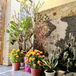 Bán shophouse 5x18 gần Aeon Tân Phú, 8 tỷ - Ảnh thu nhỏ 2