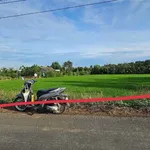 Bán đất 3.911,5m² Tây Ninh, giá 1 tỷ 799 triệu/công - Ảnh thu nhỏ 5