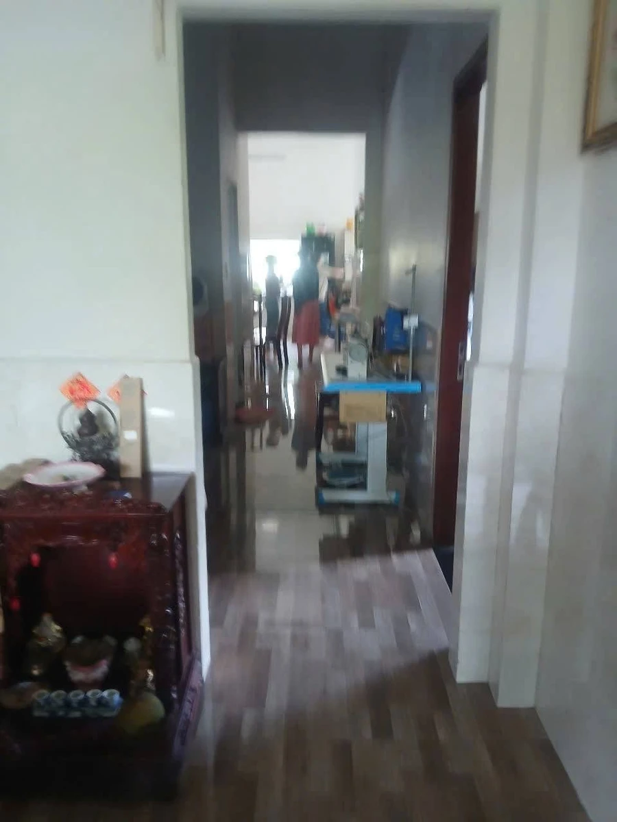 Bán nhà vườn cấp 4 mái Thái 3PN 2WC 1.100m² An Thạnh Thuận An - Ảnh thu nhỏ 2