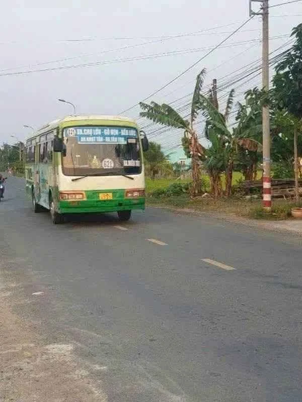 Bán đất thổ cư 225m2 mặt tiền Cao Thị Mai Tân Trụ Long An - Ảnh 1