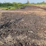 Bán đất vườn 1000 m² tại Thủ Thừa, Long An - Ảnh thu nhỏ 2