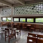 Cho thuê nhà 3 tầng mặt tiền 120m², Bùi Thị Xuân, TP. Huế, 20 triệu/tháng - Ảnh thu nhỏ 1